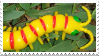 caterpiller